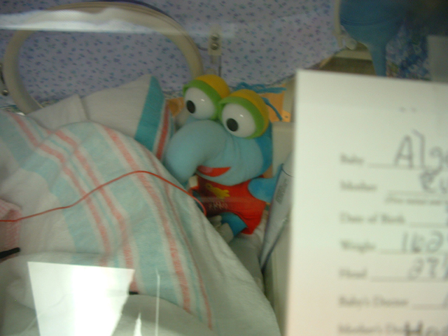 The Great Gonzo