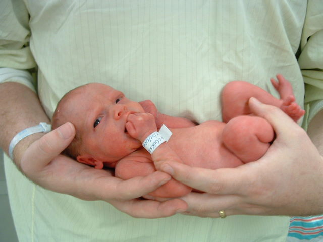 Daddy's Hands